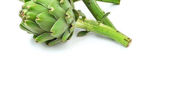 Fresh artichoke, a prebiotic fibre-rich food that supports gut health
